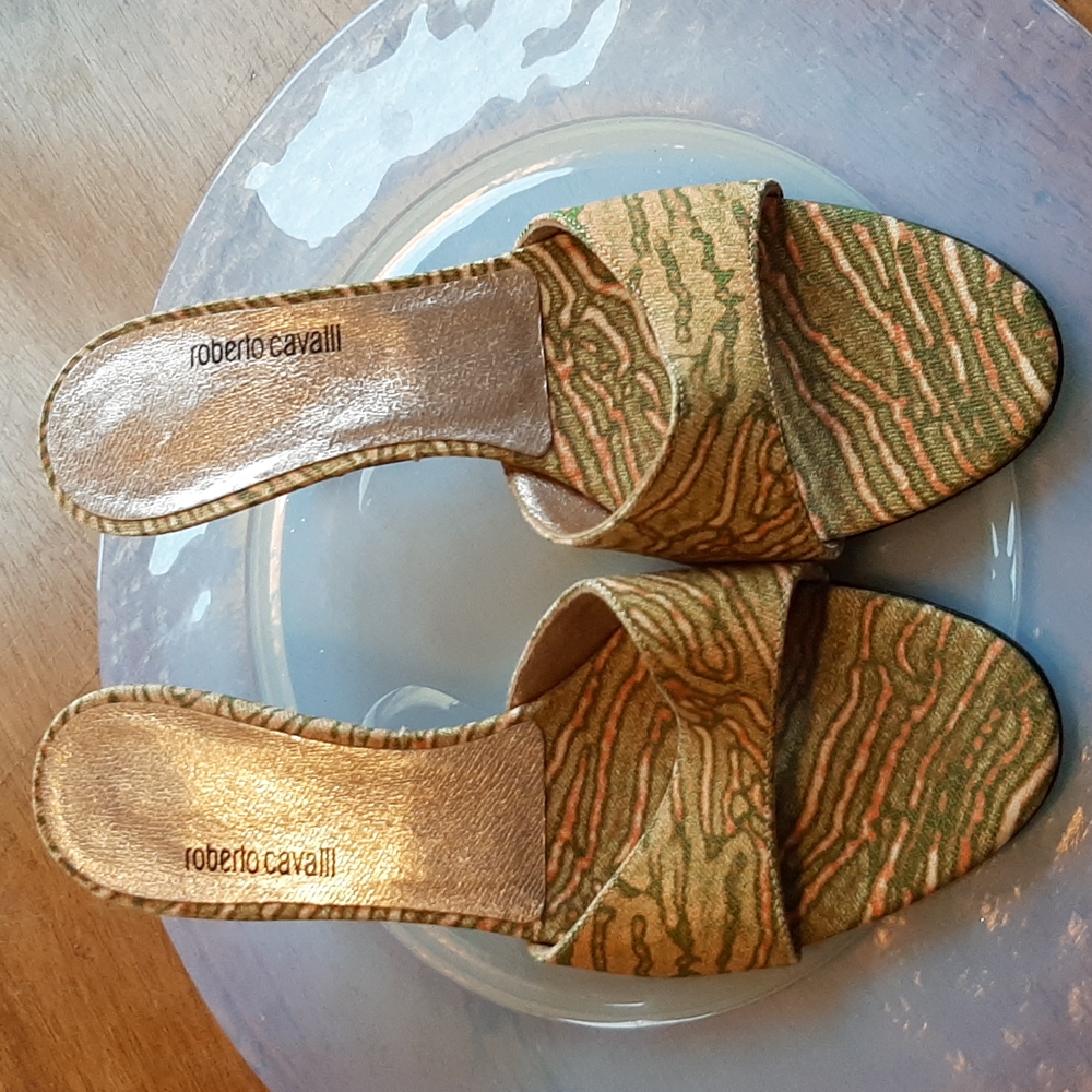 Vicini roberto cavalli sandals
